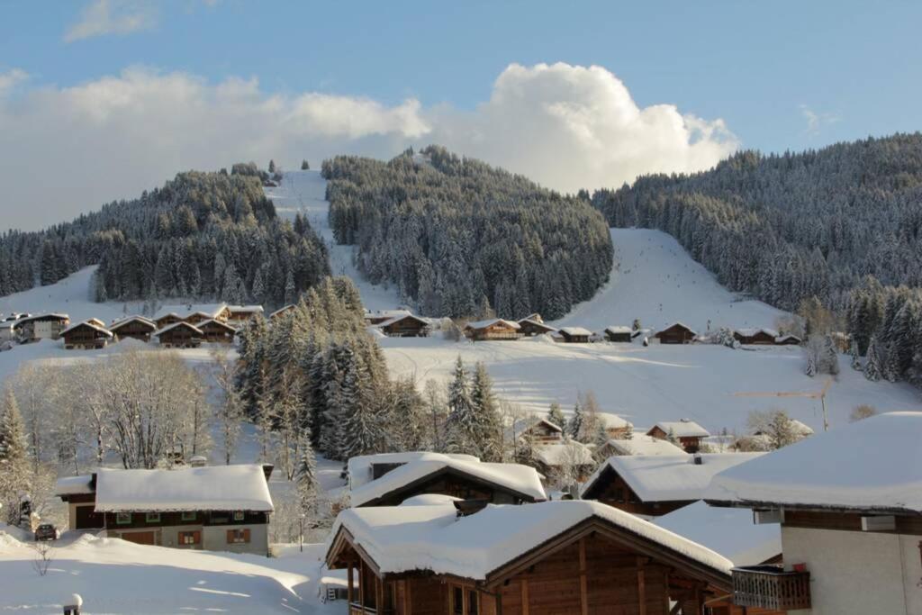 Bel App Aux Gets 10Mn Centre Ski Parking Tennis Prive Les Gets Exterior photo